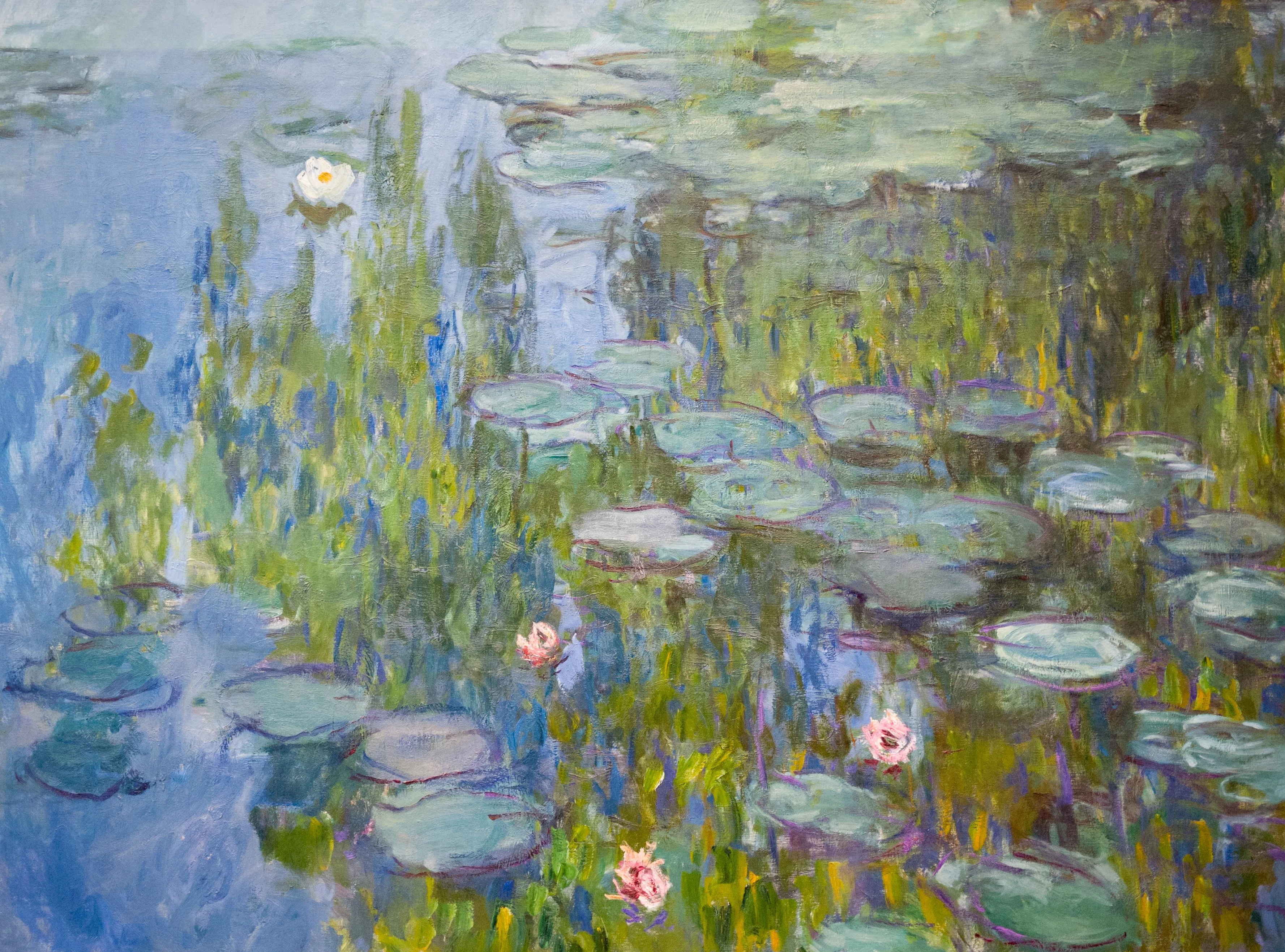 Claude Monet, Water Lilies (Nymphéas), c. 1915 — oil on canvas.